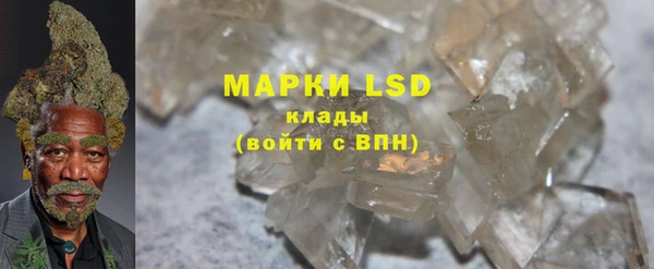 PSILOCYBIN Алексеевка