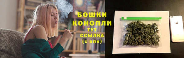 PSILOCYBIN Алексеевка